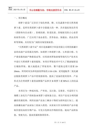 特色轻工项目可研例本