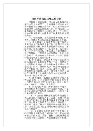 某某项目现场工作计划