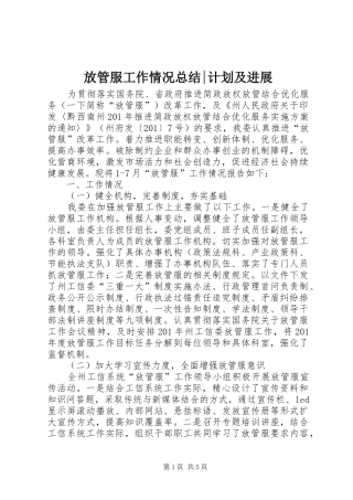 放管服工作情况总结-计划及进展