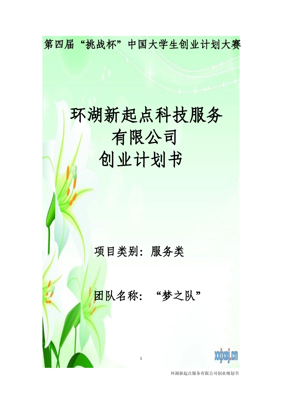 环湖新起点服务有限公司创业计划书_第1页