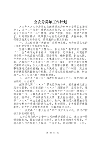 公安分局年工作计划