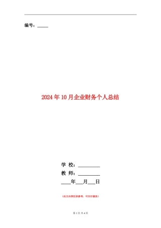 2024年10月企业财务个人总结