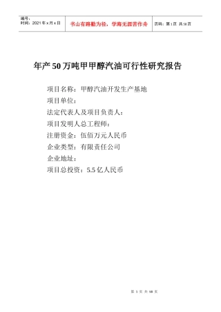 甲醇汽油可行性研究报告