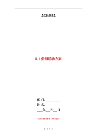 5.1促销活动方案