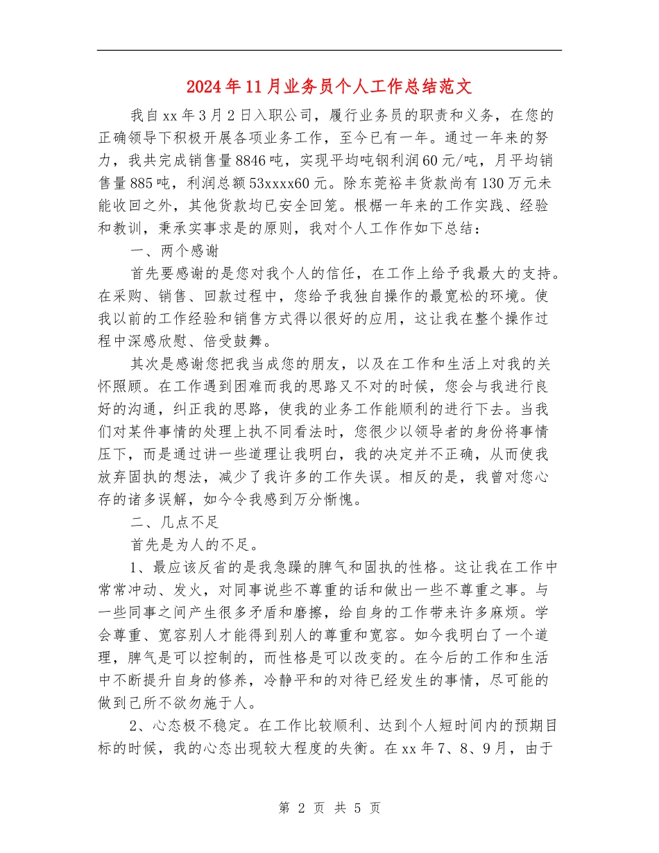 2024年11月业务员个人工作总结范文_第2页