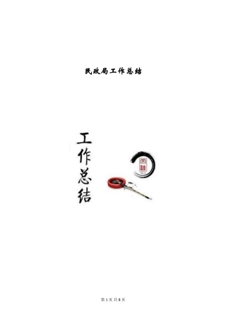 民政局工作总结
