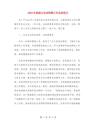 2018年系副主任试用期工作总结范文