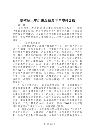 垦殖场上年组织总结及下年安排2篇