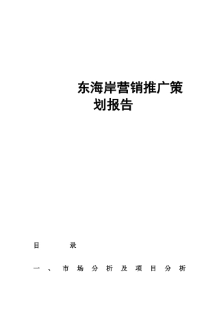 东海岸营销推广策划报告