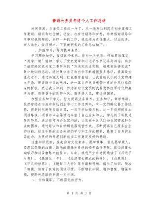 普通公务员年终个人工作总结