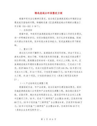 流域水环保整改方案