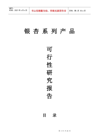 银杏系列产品可行性研究报告