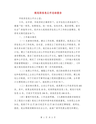 规划局信息公开总结报告