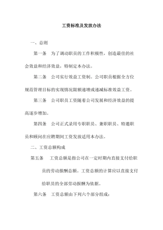 某某公司工资标准与发放办法