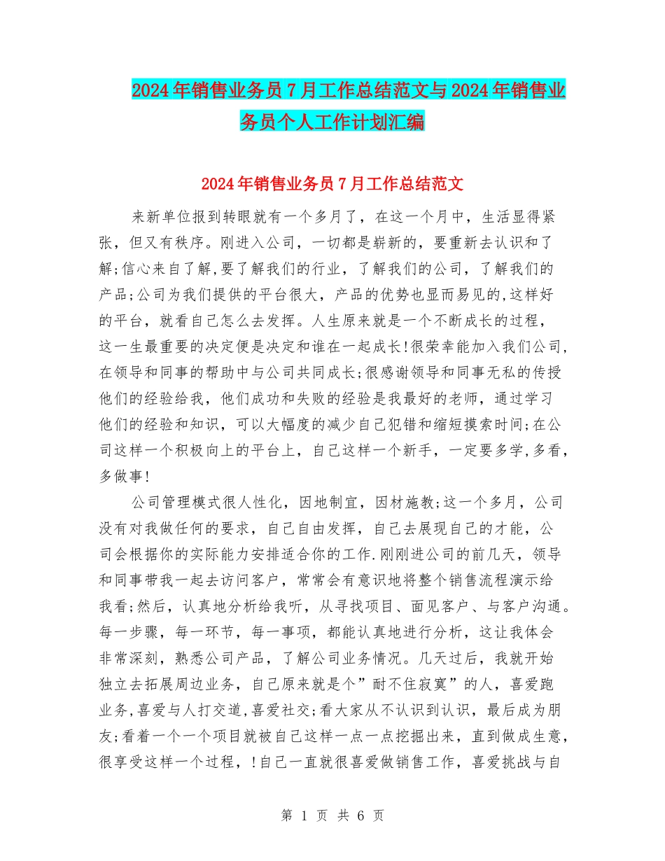2024年销售业务员7月工作总结范文与2024年销售业务员个人工作计划汇编_第1页