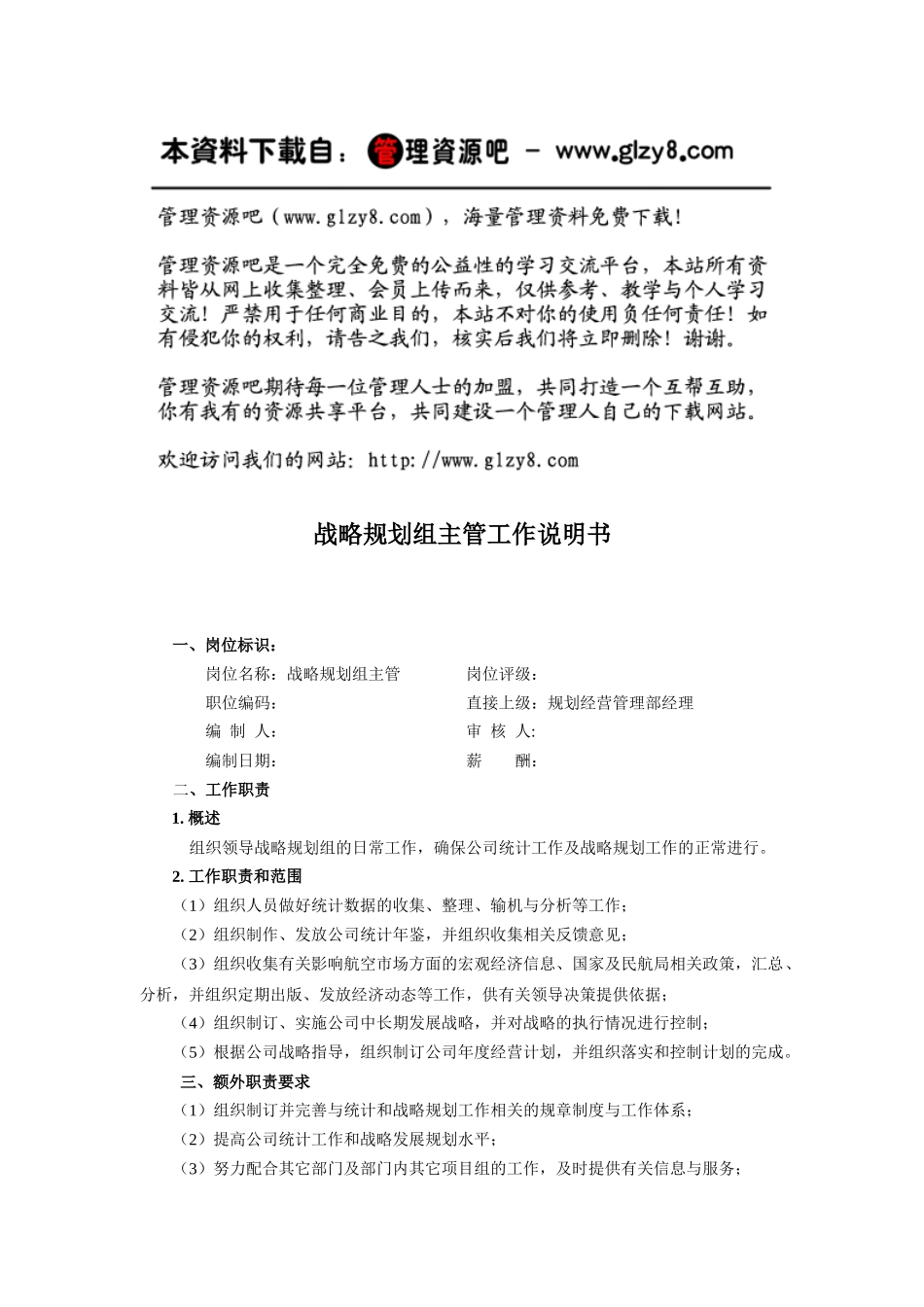 战略规划组主管工作说明书_第1页