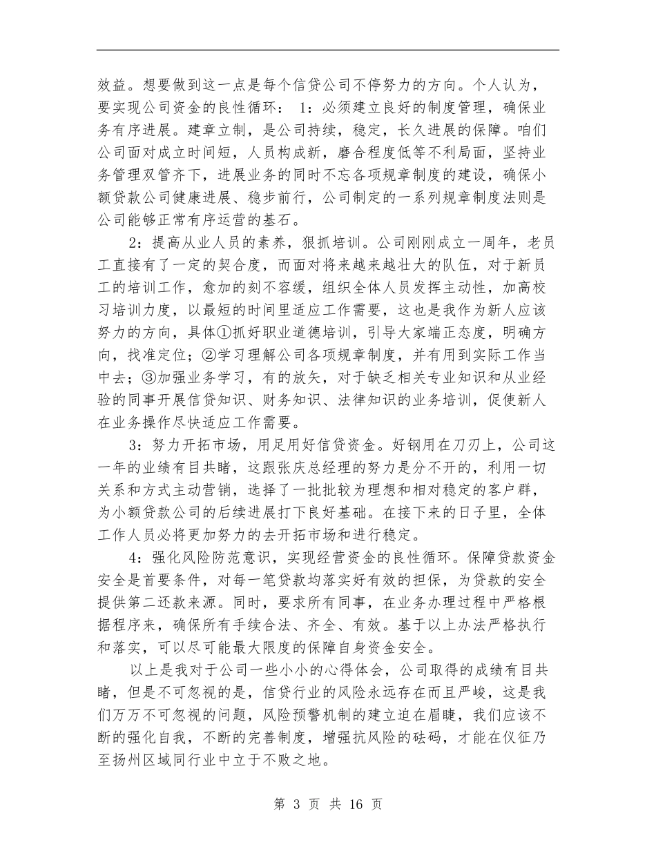 小贷公司财务工作总结_第3页