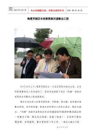 陶夏芳副区长视察黑臭河道整治工程