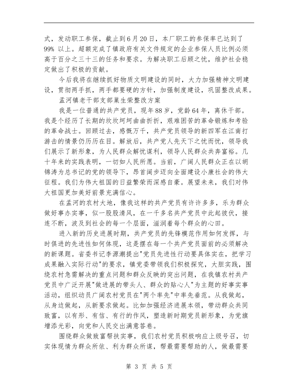 XX厂厂长、党支部书记整改方案_第3页