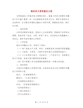 养犬管制整改方案