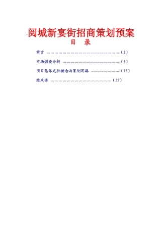 阅城招商策划预案