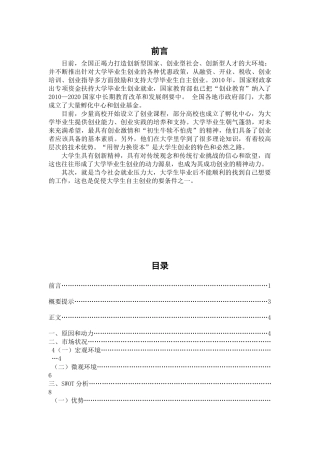 自主创业策划书(刘)