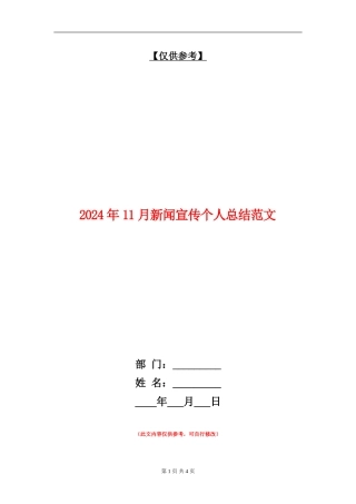 2024年11月新闻宣传个人总结范文