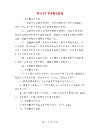 小矿资源整改措施