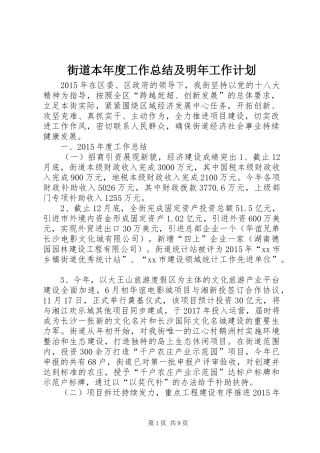 街道本年度工作总结及明年工作计划