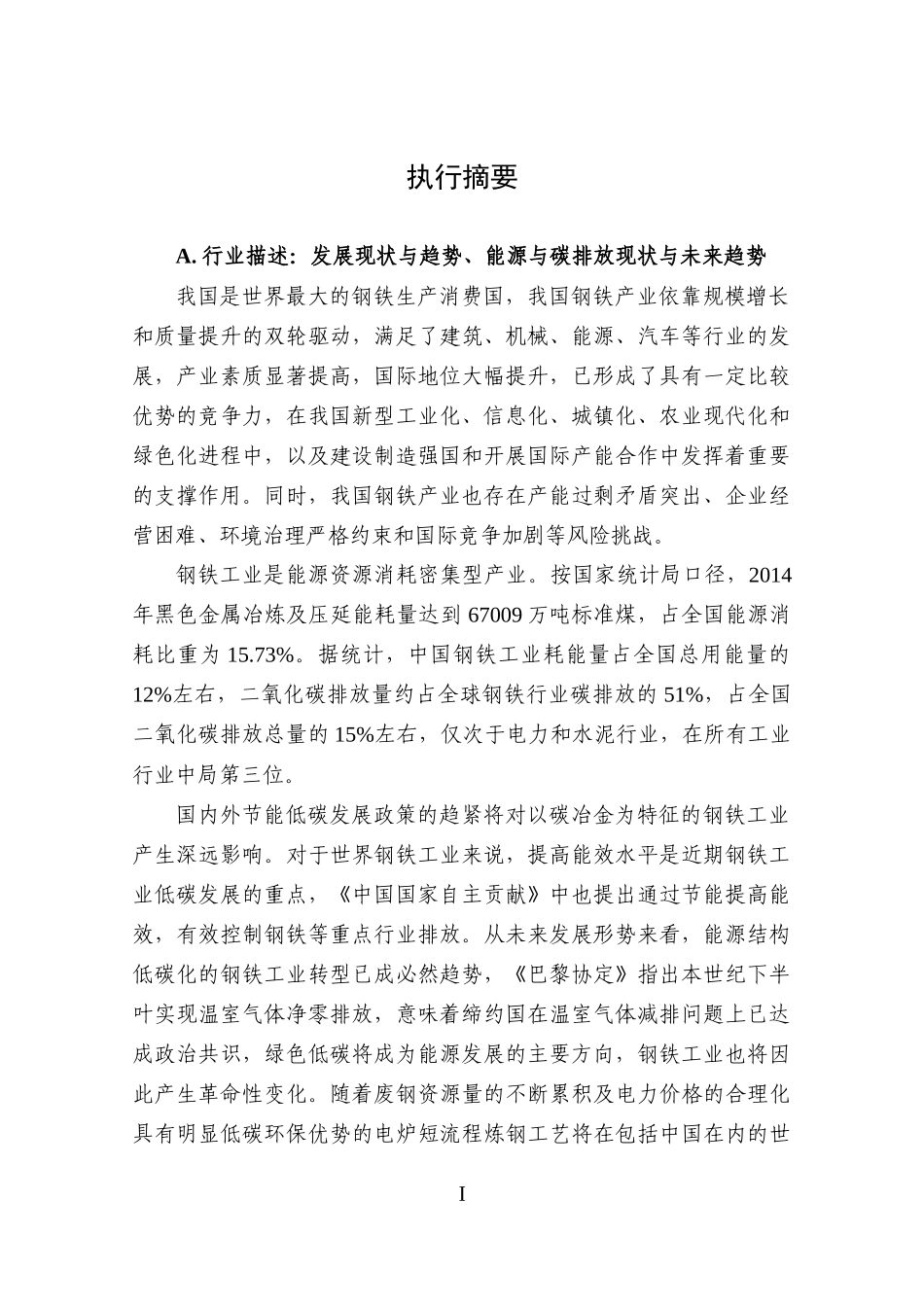 钢铁行业减缓技术需求评估报告_第2页
