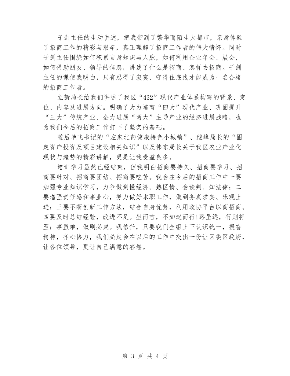 招商引资工作培训个人总结_第3页