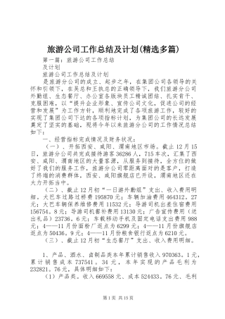 旅游公司工作总结及计划(精选多篇)