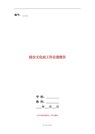 综合文化站工作自查报告【新版】