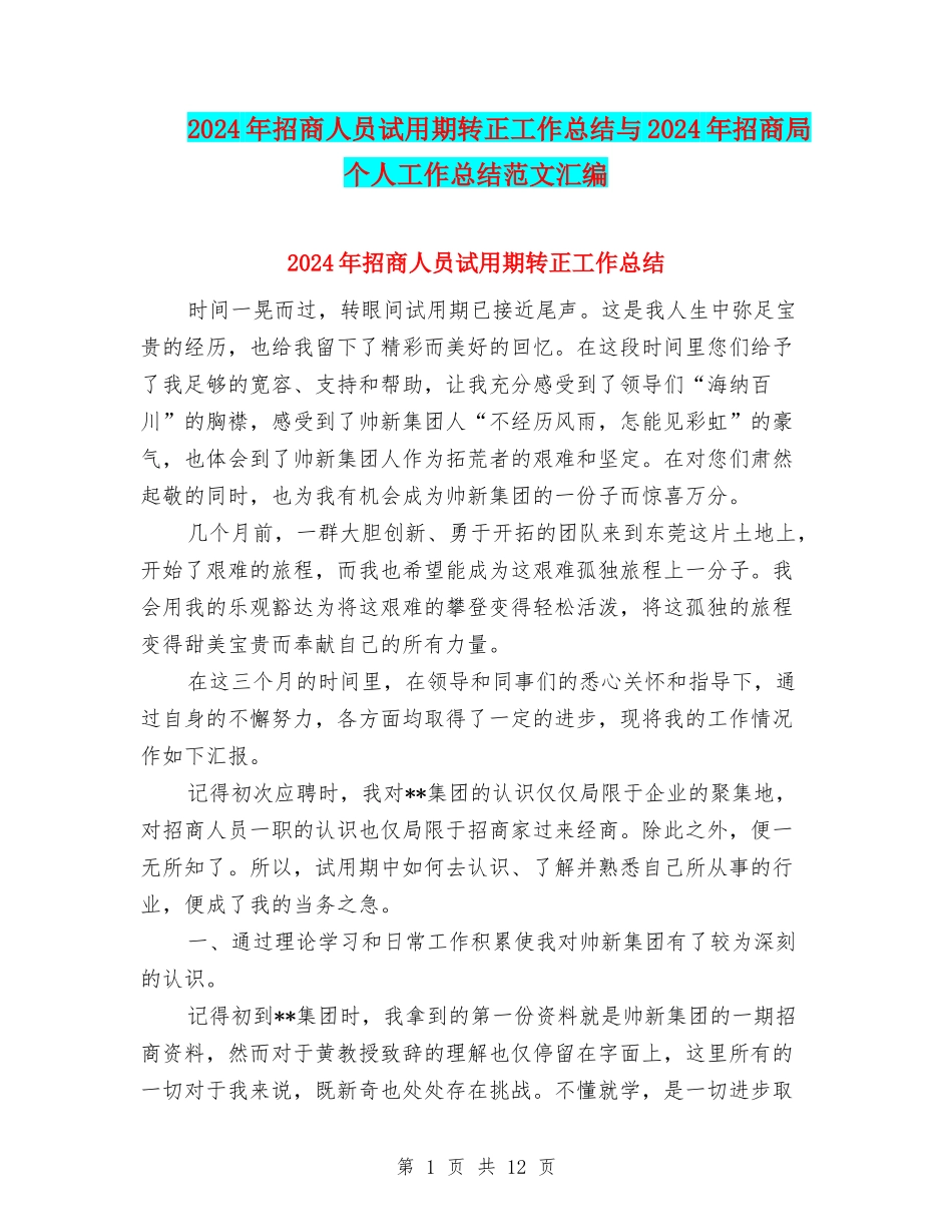2024年招商人员试用期转正工作总结与2024年招商局个人工作总结范文汇编_第1页