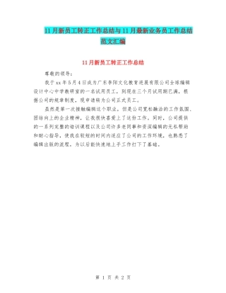 11月新员工转正工作总结与11月最新业务员工作总结范文汇编