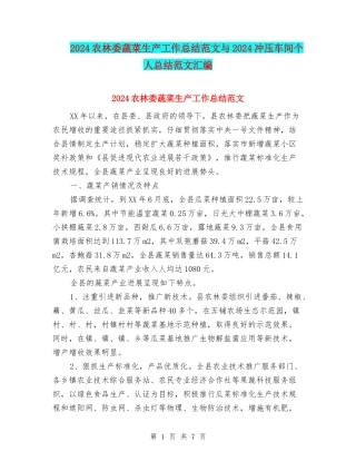 2024农林委蔬菜生产工作总结范文与2024冲压车间个人总结范文汇编