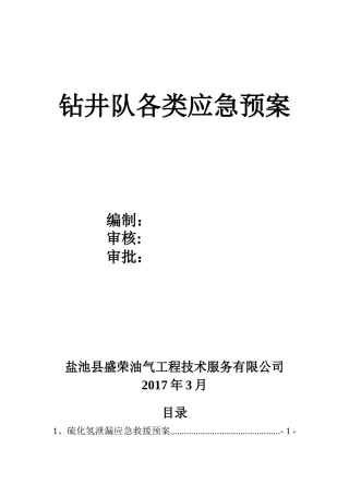 钻井应急预案(DOC56页)