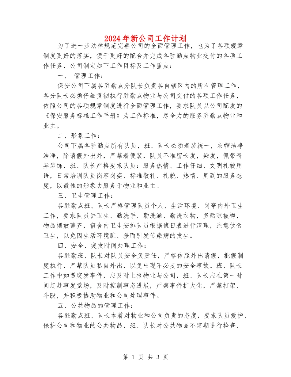 2024年新公司工作计划_第1页