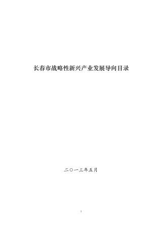 长春市战略性新兴产业发展导向