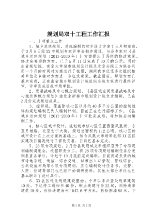 规划局双十工程工作汇报