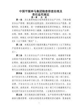 隐患排查治理及责任追究规定