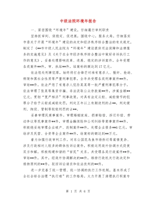 中级法院环境年报告