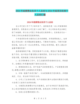 2024年底销售业务员个人总结与2024年底项目经理个人总结汇编