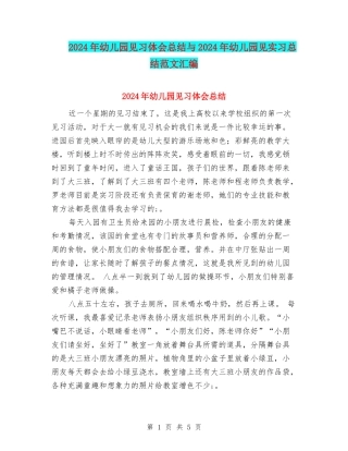 2024年幼儿园见习体会总结与2024年幼儿园见实习总结范文汇编