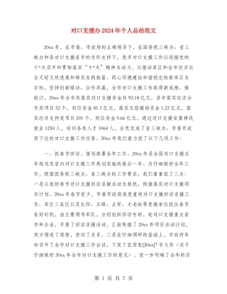 对口支援办2024年个人总结范文