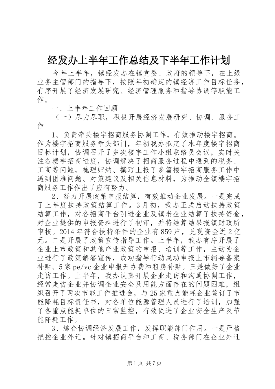 经发办上半年工作总结及下半年工作计划_第1页
