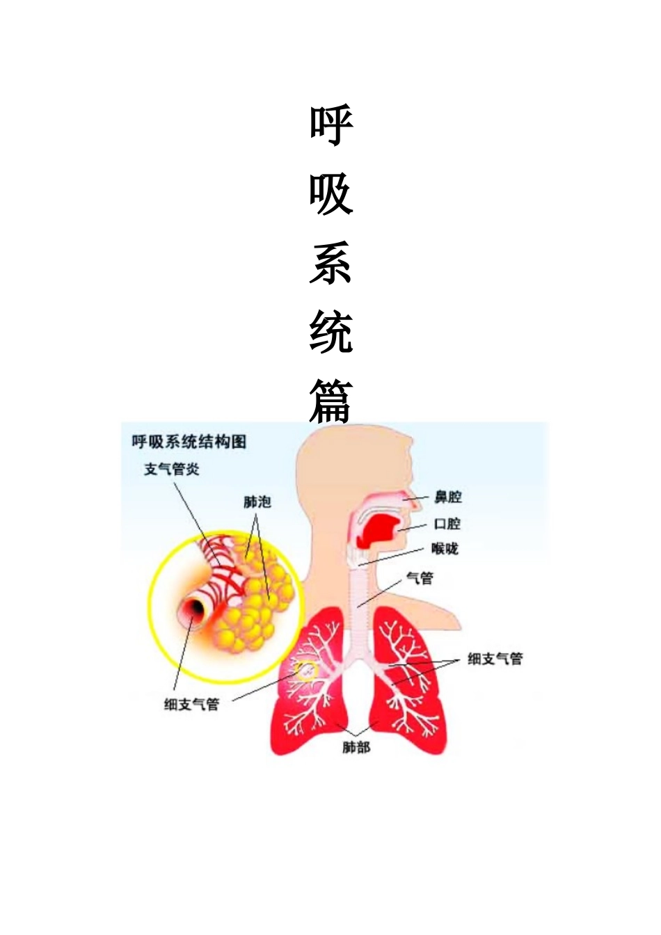 药店员工专业知识学习手册_第3页