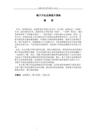 锤子手机的品牌提升策略