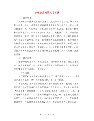 乡镇企业建设见习汇报