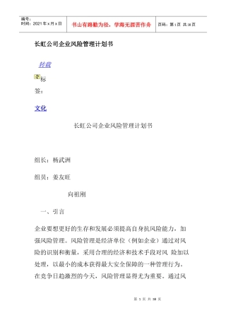 长虹风险管理计划书